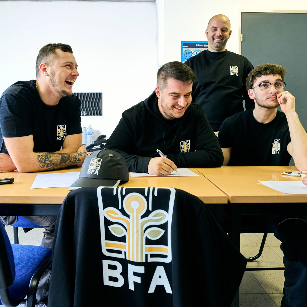 BFA Ascenseur Région PACA Aix Provence Emploi Recrutement Portail Réparation Dépannage Installation